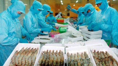 US imposes anti-subsidy tariff on Vietnamese frozen shrimp - ảnh 1
